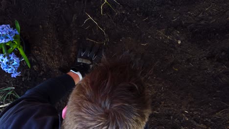 covering a grave site of a dead house pet with dirt in a flower garden