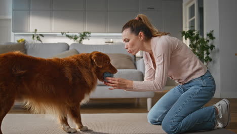 smiling woman training dog at living room. happy female owner teaching pet home