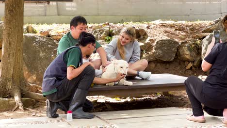 people interacting with a white lion cub at a zoo