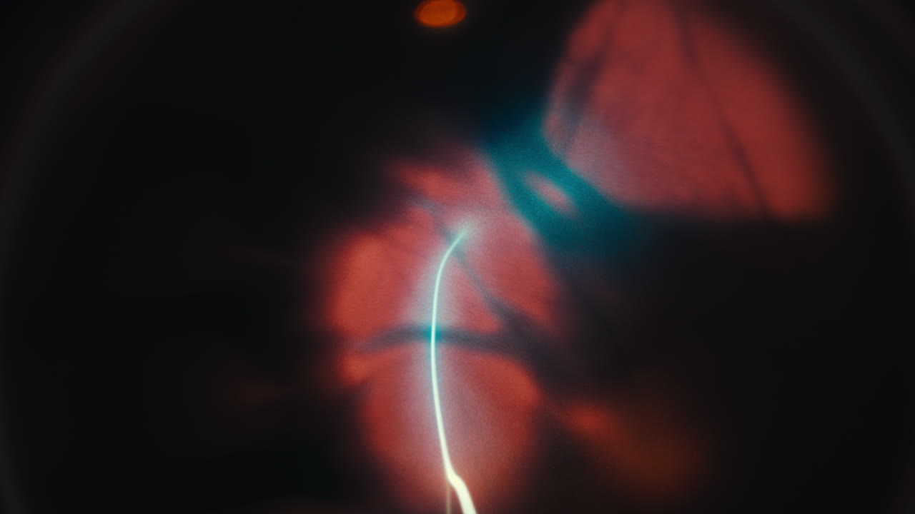 filamentos de rayos de luz