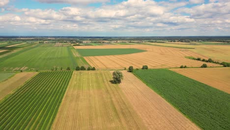 Luftaufnahme-Mit-Der-Landschaftsgeometriestruktur-Vieler-Landwirtschaftlicher-Felder-Mit-Verschiedenen-Pflanzen-Wie-Raps-In-Der-Blütezeit-Und-Grünem-Weizen