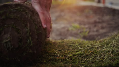 Slider-shot:-Hands-roll-out-a-roll-of-green-natural-lawn-at-sunset