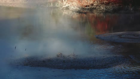 boiling hot geothermal volcanic mud pool, closeup shot steamy lake bubbling mud and steam satisfying