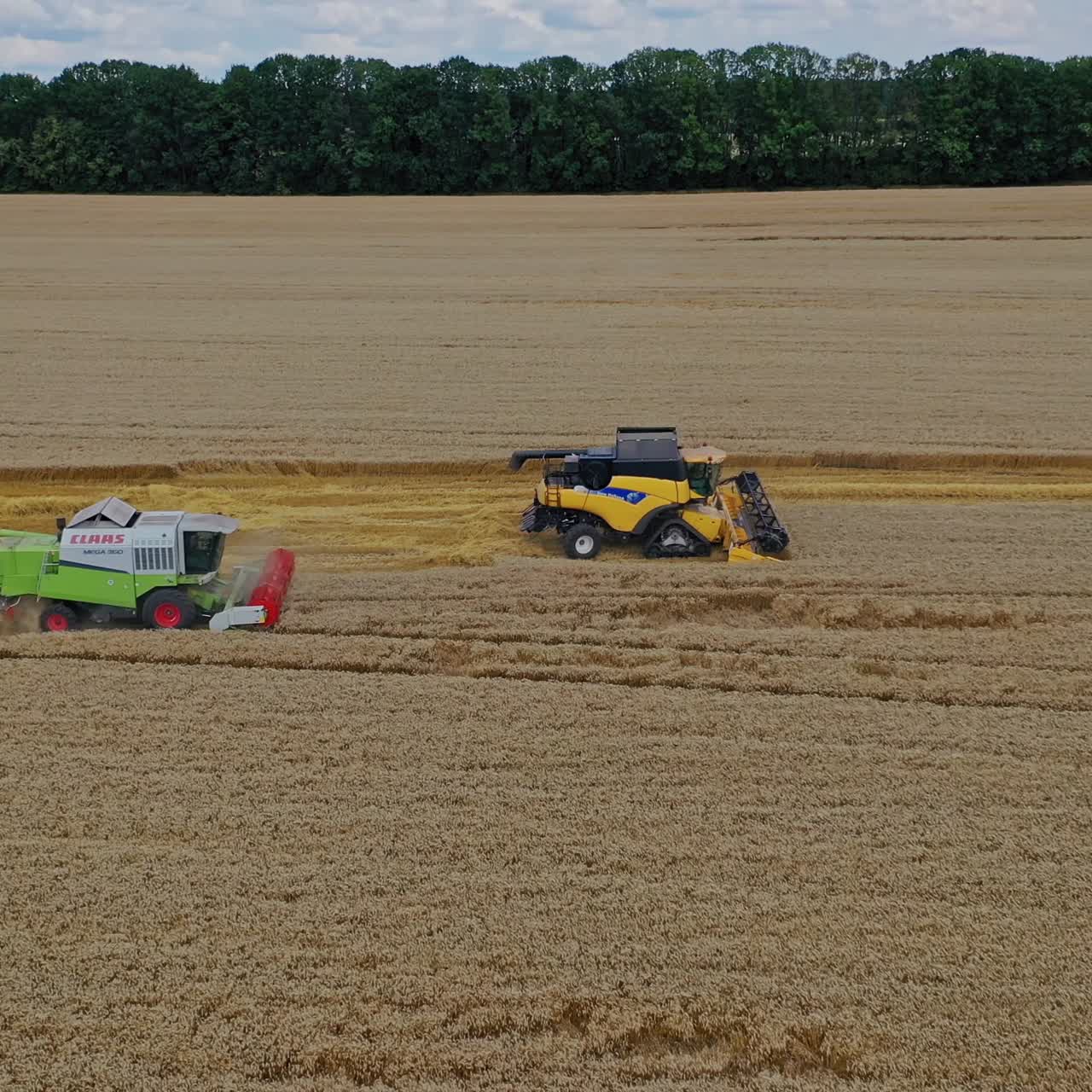 Combine harvester on field wheat