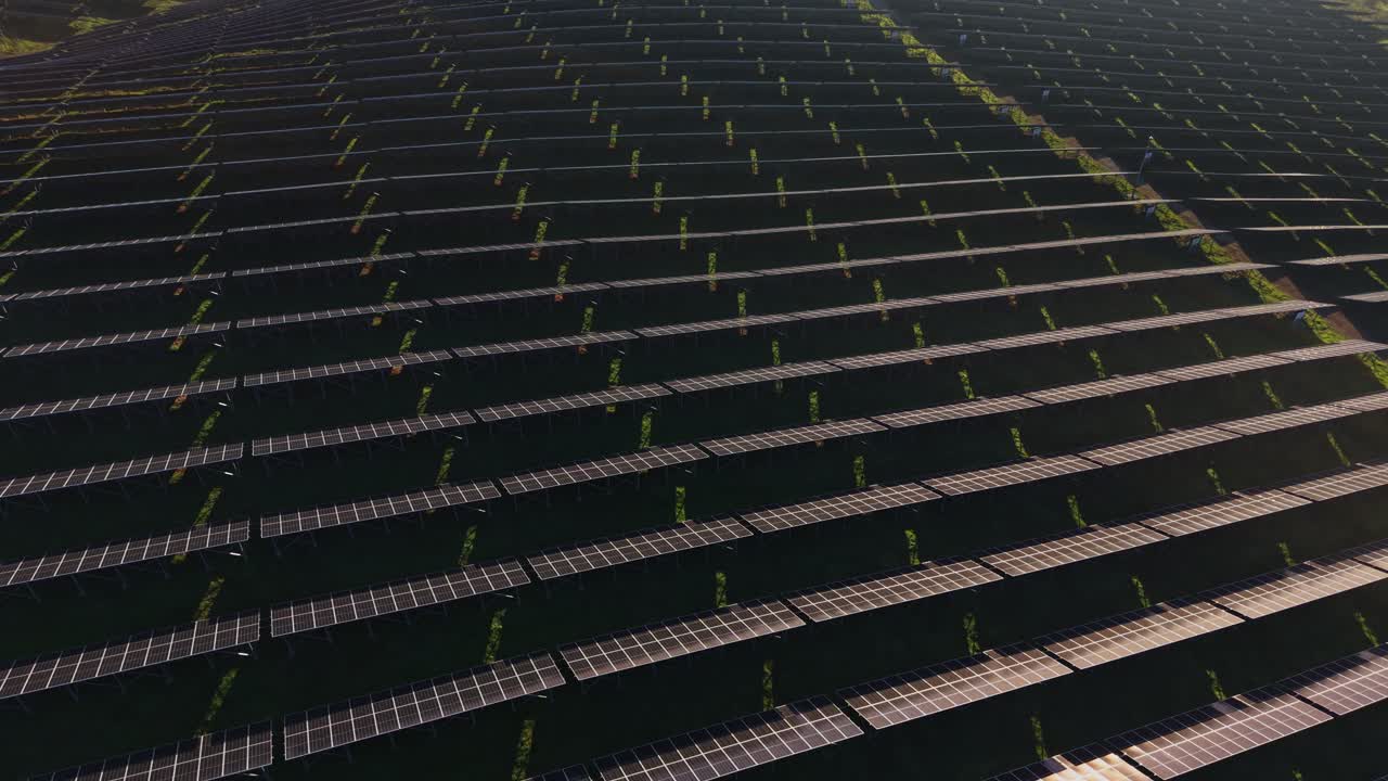 Solar energy panels installed in large area for power generation purpose