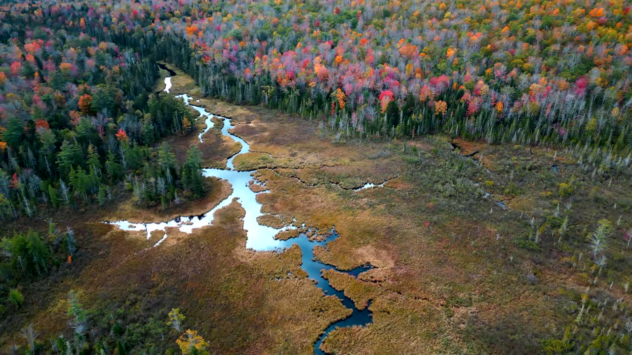 Red and green fall colored trees surround valley floor as stream terminates at pond, aerial overview
