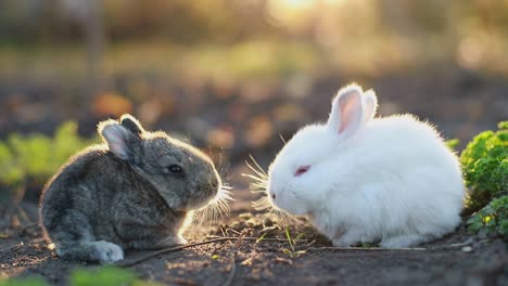 cute little easter bunnies with their mother on table. easter holiday concept