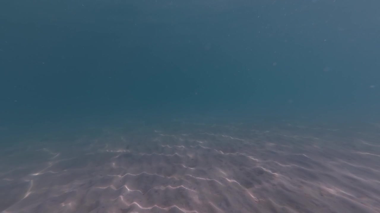 海底の砂の上を優しく揺らめく波打つ光