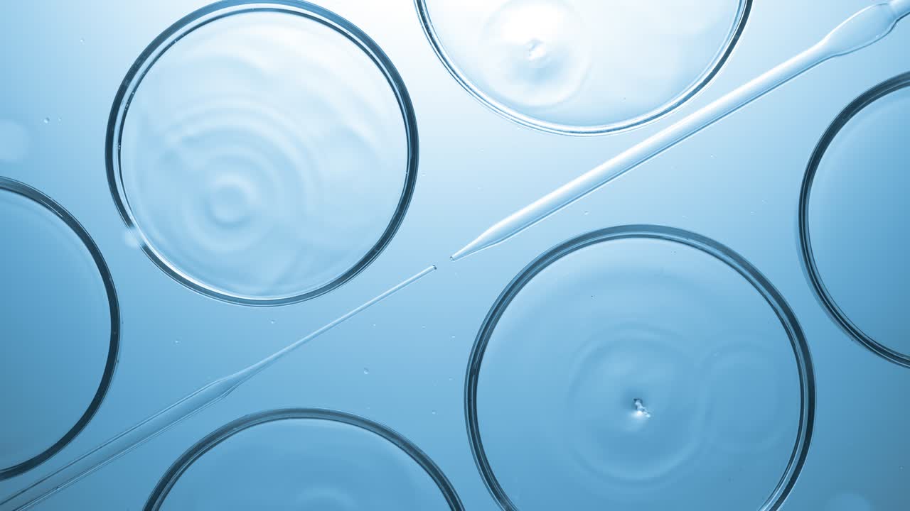 물방울이 액체로 떨어지는 페트리 접시에서 물방울 주변에 누워있는 것