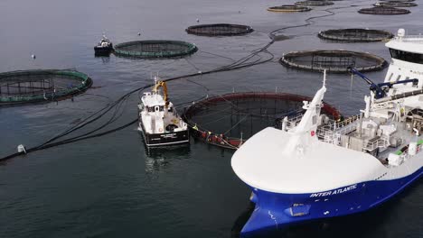 circling drone shot of a fish farm being inspected by a well-boat crew