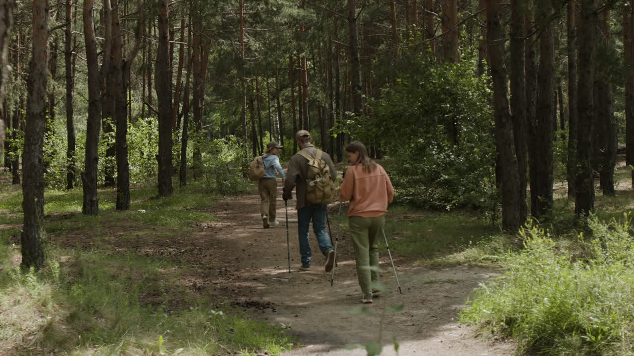 excursionismo familiar en el bosque