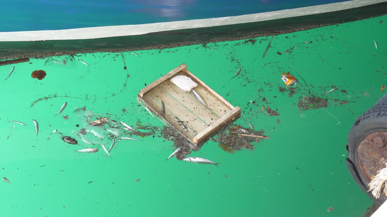 물고기는 바다 쓰레기에서 헤엄친다