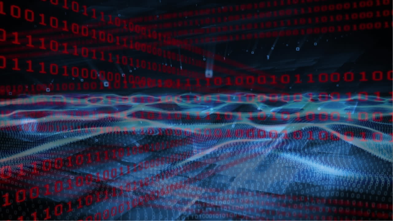 paisaje de aptitud y códigos binarios