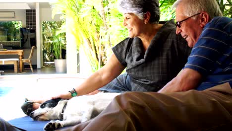 una pareja de ancianos relajándose con un perro en casa.