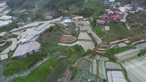 general landscape view of the brinchang district within the cameron highlands area of malaysia