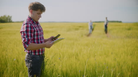 agricultor inspeccionando el campo de trigo
