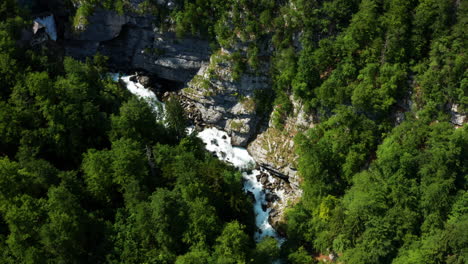 flowing water of savica waterfall surrounded with green woods in northwestern slovenia