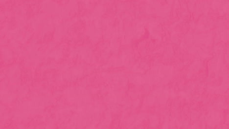 animation of wow text in speech bubble with sunburst against pink background