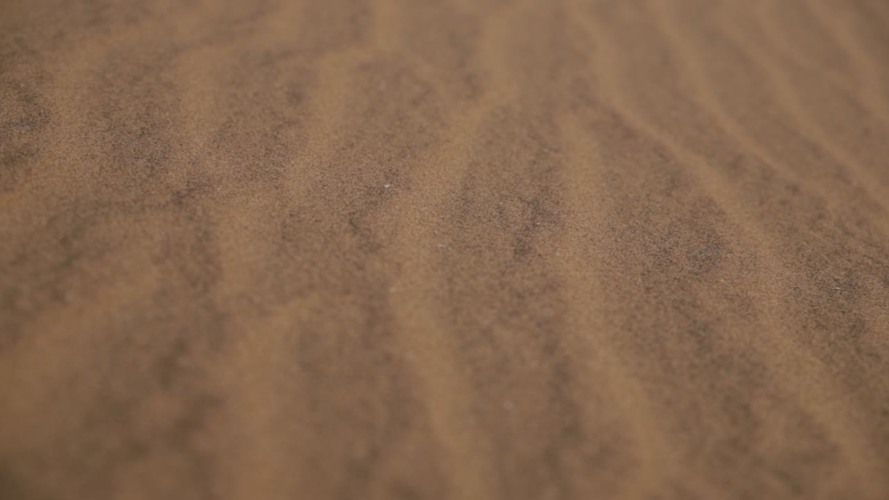 나미브 사막 의 모래 언덕 에 있는 모래 파도 의 밀접 한 초점