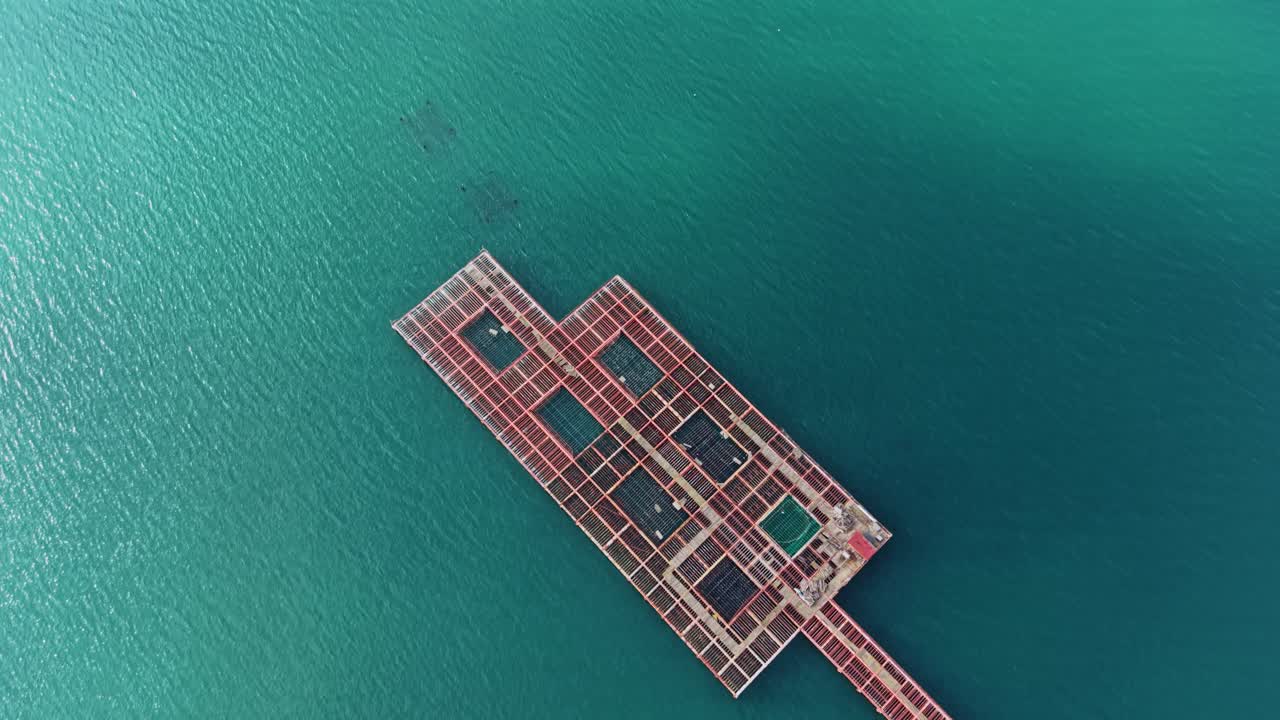 Mussel farming operation on a platform in the ocean during daylight