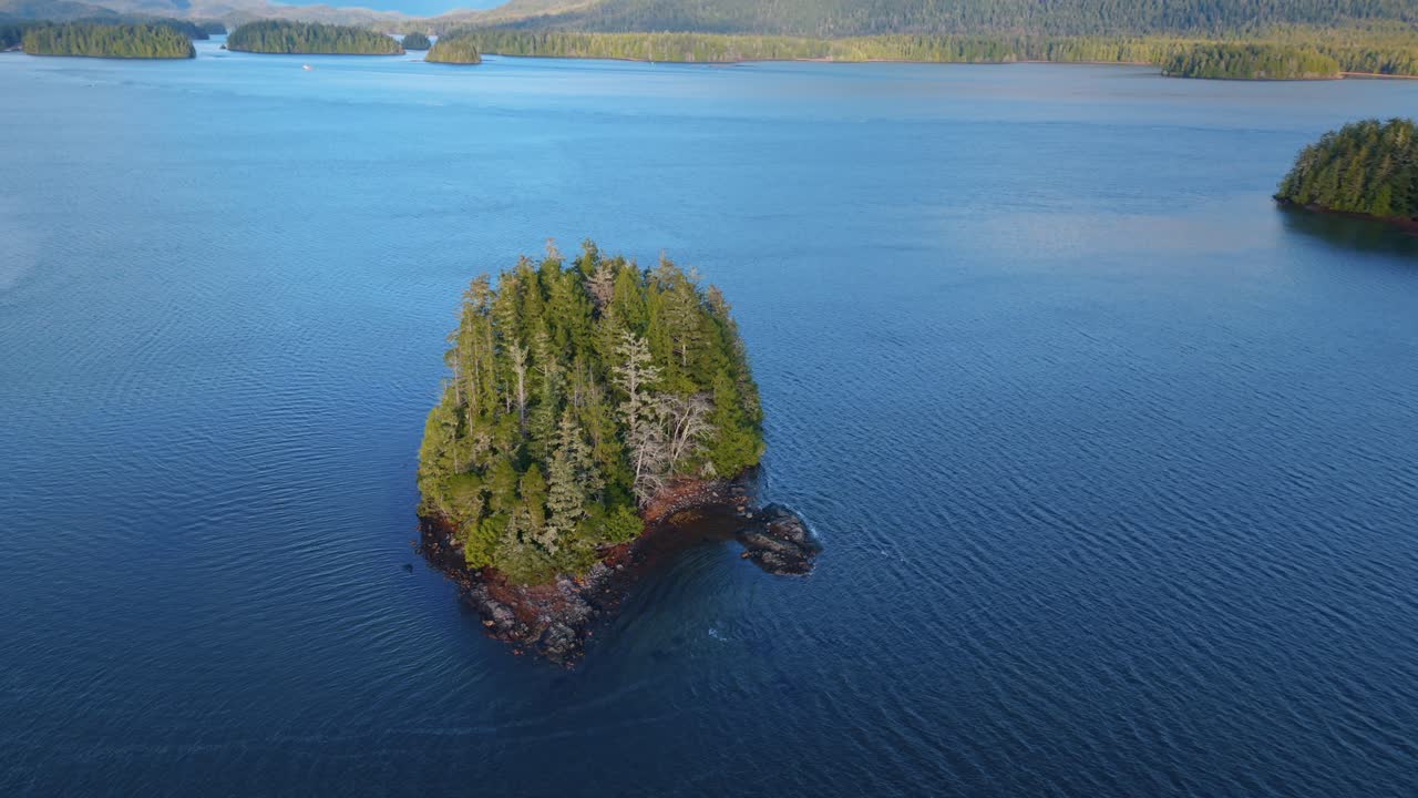 tomada de drone de tofino en la isla de vancouver que muestra colores de otoño, costa escarpada y olas del océano en una vista aérea panorámica.