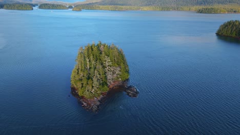 tomada de drone de tofino en la isla de vancouver que muestra colores de otoño, costa escarpada y olas del océano en una vista aérea panorámica.