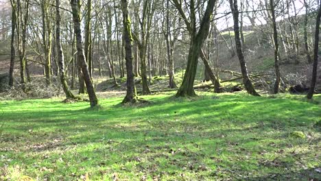 Schöne-Lancashire-Fluss--Und-Landschaftsszenen