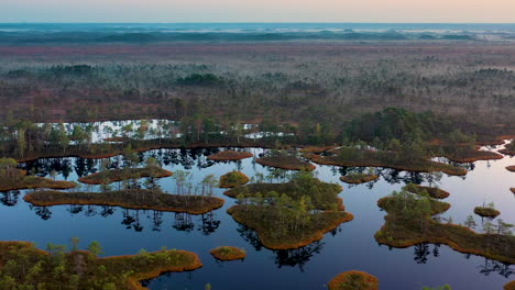 peaceful low land and islands in swamp in evening, tracking drone shot