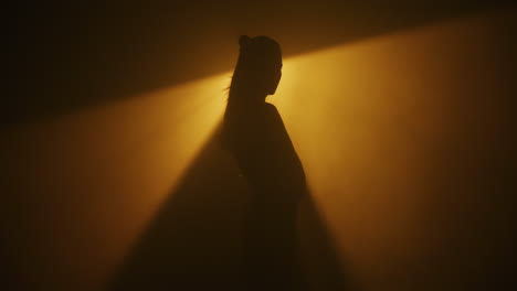 silhouette of a woman in a spotlight