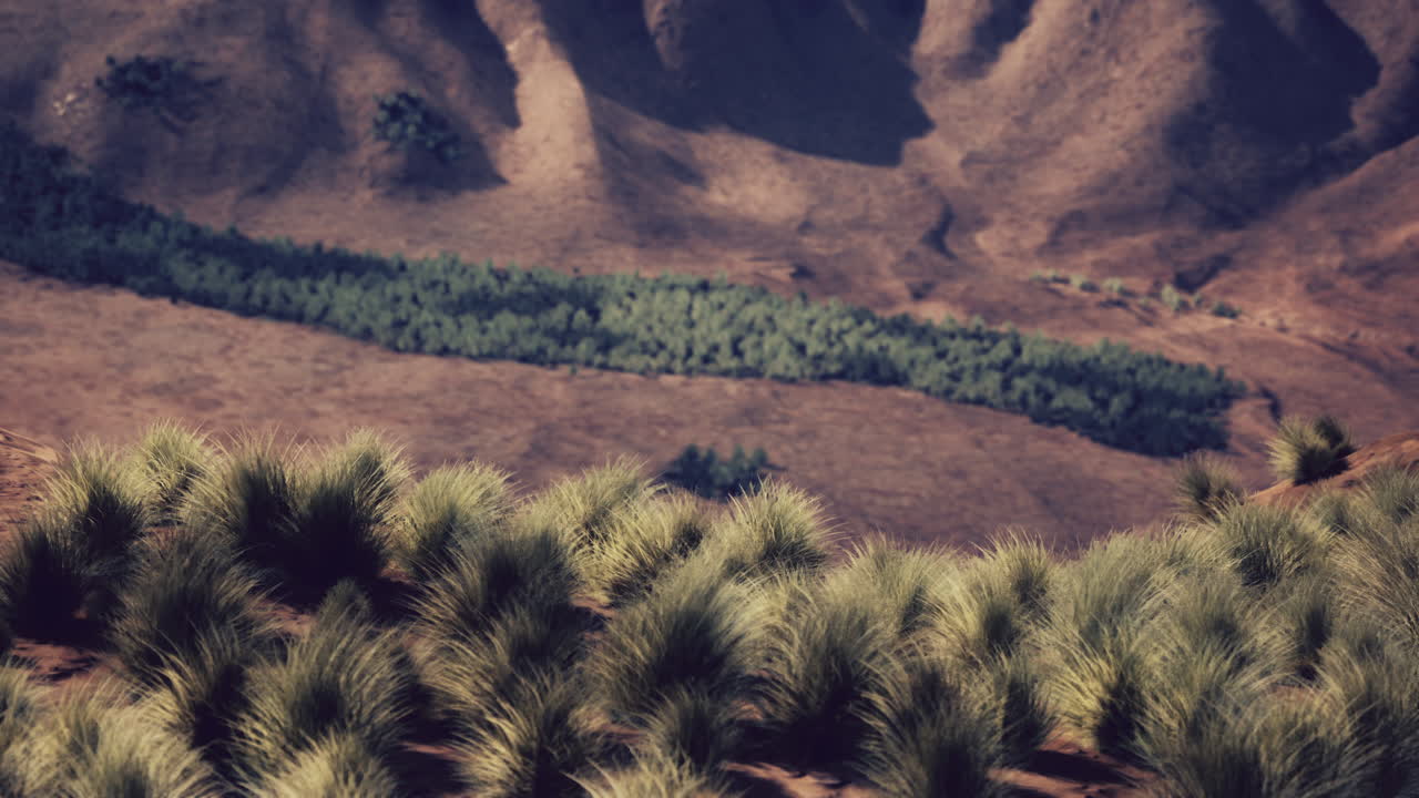 una vista panorámica de un paisaje desértico con montañas en el fondo