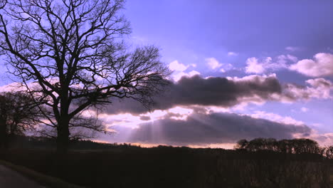 leicestershire english countryside sun beaming through clouds near winter tree