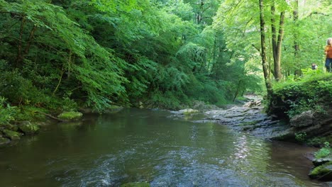 Creek-with-falling-water-and-stones-in-the-Great-Smoky-mountains