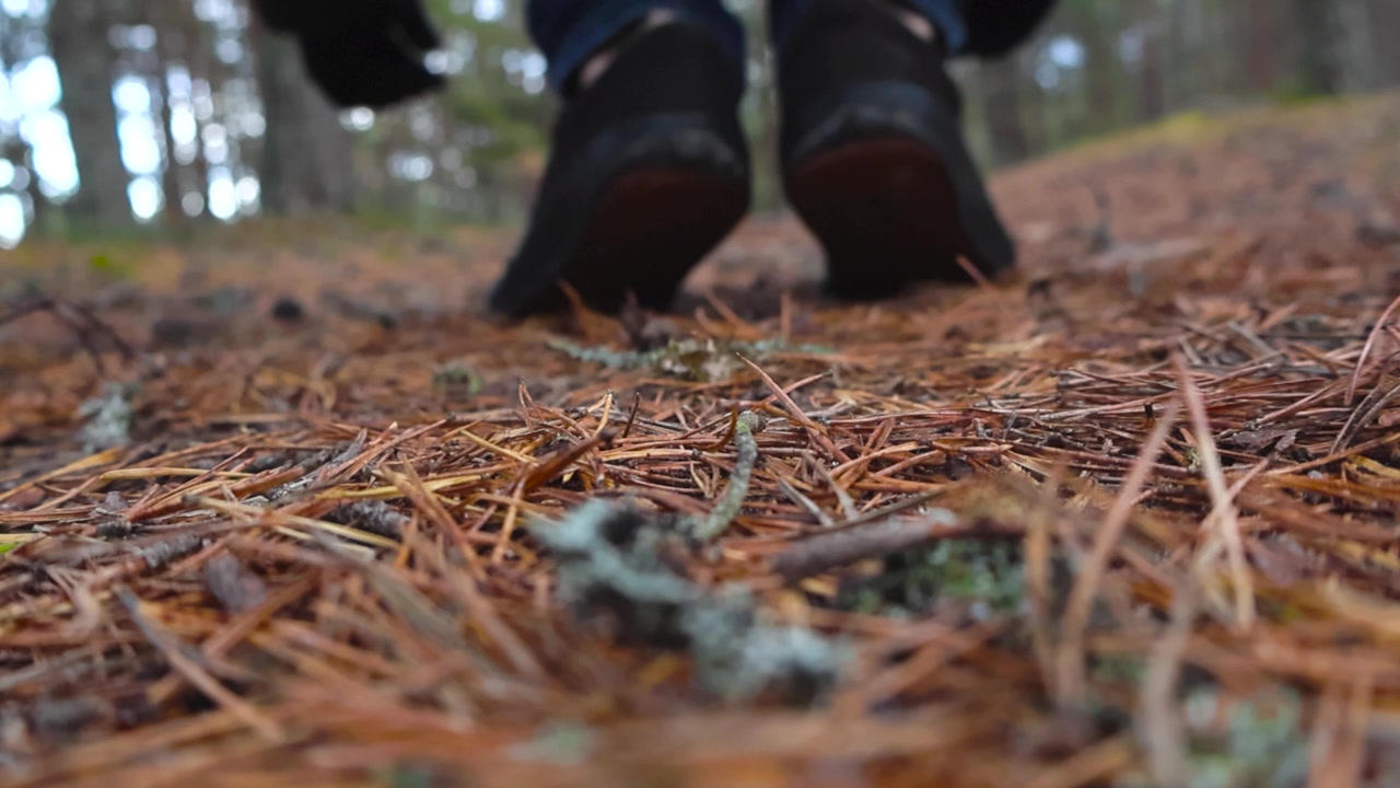 Person jumping over a camera that is on a autumn forest floor or ground and moving and walking further while kicking pine needles on the ground in slow motion. Tall forest blurry trees in background.