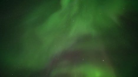 el oscuro cielo de invierno estaba adornado con una espectacular exhibición de las luces del norte