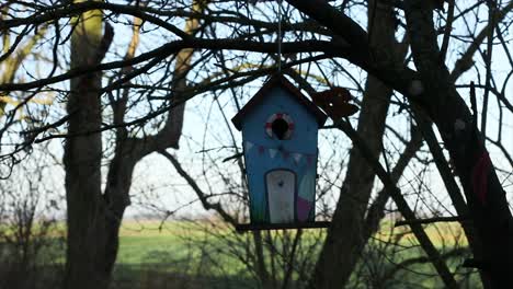 Abstraktes,-Lustiges,-Buntes-Kleines-Vogelhaus-In-Der-Natur,-Das-In-Den-Bäumen-Hängt,-Mit-Einer-Großen-Landschaft-Im-Hintergrund,-Die-Mit-Bäumen-Bedeckt-Ist