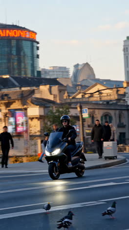 Person riding a black scooter on a city street