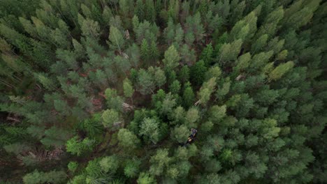 Toma-Aérea-Del-Bosque-Finlandés-Escandinavo-Desde-Arriba-Y-La-Máquina-Forestal-Cosechadora-De-Escorpiones-Ponsse,-Filmada-Con-Dji-Air-2s