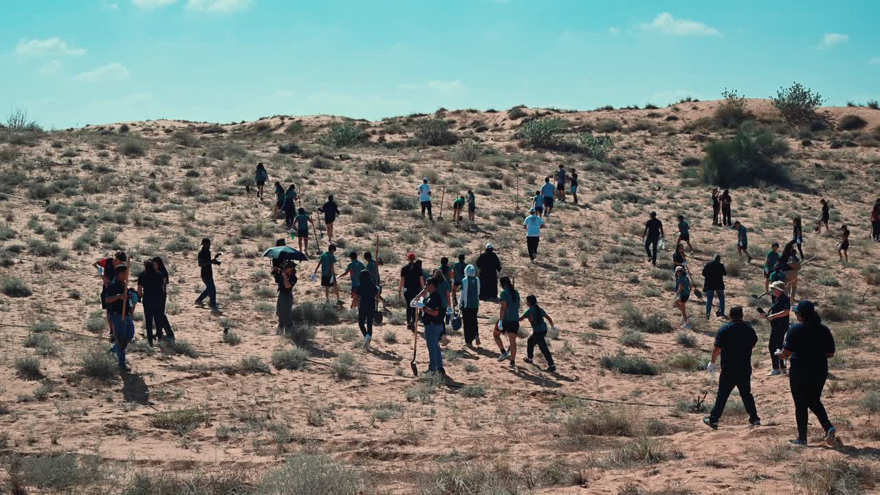 People planting trees in Sharjah's desert as part of the UAE's 'Plant the Emirates' initiative