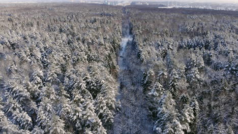 Luftaufnahmen-Vom-Flug-Zwischen-Wunderschönen-Verschneiten-Bäumen-Mitten-In-Der-Wildnis-In-Lappland,-Finnland.