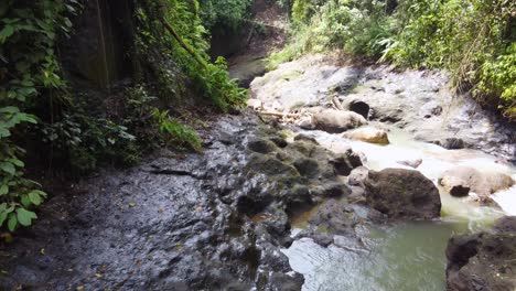 aerial drone view over a creek in a rocky tropical jungle canyon of air terjun bandung dam waterfall in bali indonesia, which was built by the dutch military around 17 ad