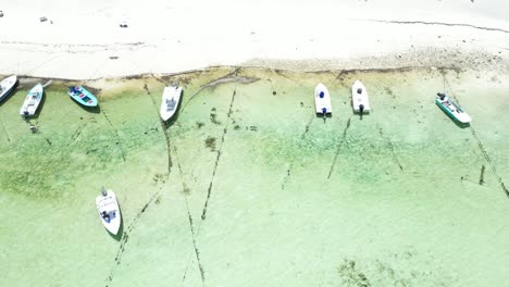 aerial view of boats moored in clear tropical water
