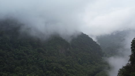 foggy morning at mexican jungle