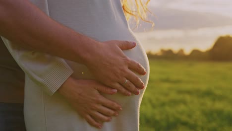 couple embracing pregnant woman in a field at sunset