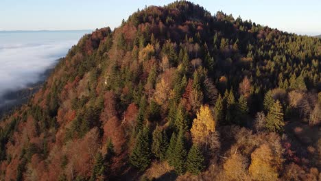 Drone-shot-of-a-Mountain-covered-in-a-Colourful-Autumn-Forest