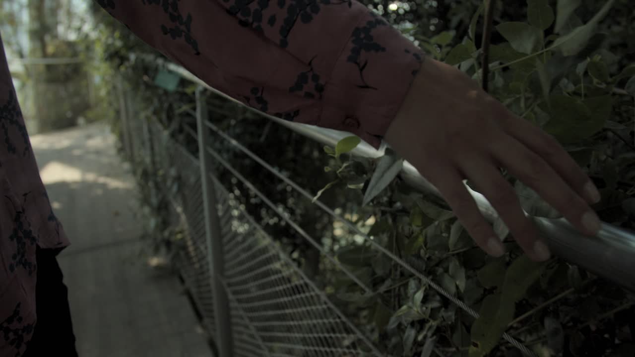 Woman hand touching bridge fence in a beautiful park, close up, slow motion