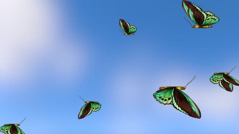 green butterflies gracefully flying against a blue sky