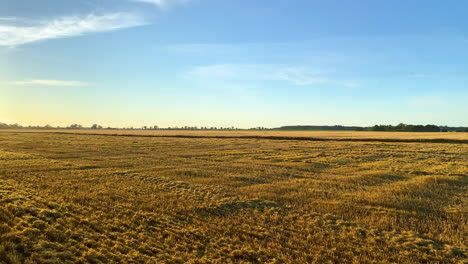 panorámica frente a la magnífica puesta de sol para revelar hermosas granjas doradas y prados en el campo en cámara lenta - alta velocidad de fotogramas