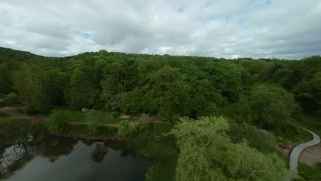 aerial view of a serene river and forest