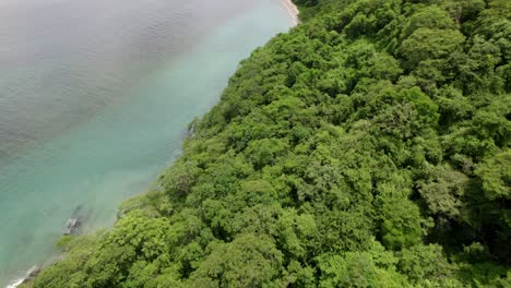 forest and moutains surrounded by sea