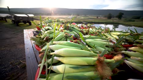 camera pulling away from a flatbed loaded with freshly picked corn with the sun rising over the mountain